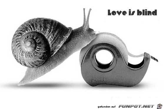 Liebe macht blind Liebe macht blind