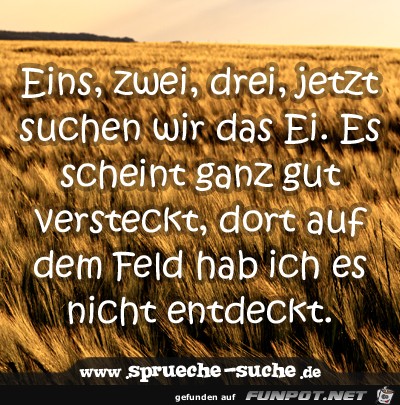 auf-dem-feld auf-dem-feld