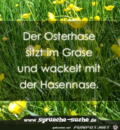 der-osterhase-sitzt-im-grase-und-wackelt- der-osterhase-sitzt-im-grase-und-wackelt-