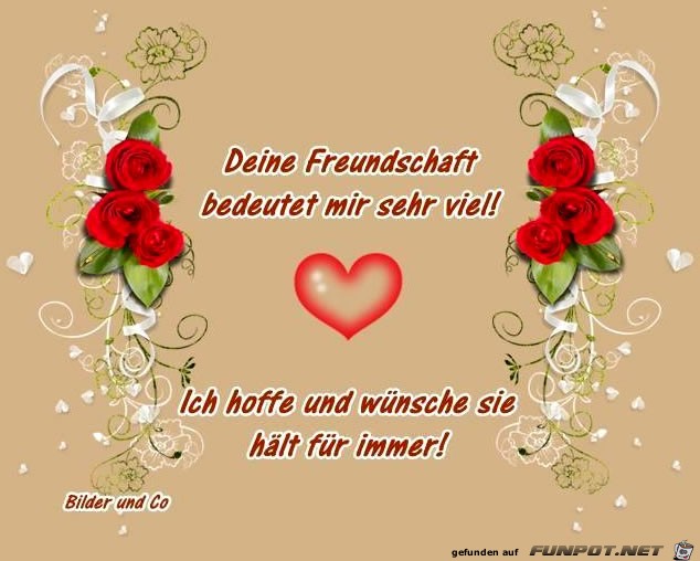 deine Freundschaft bedeutet mir sehr viel deine Freundschaft bedeutet mir sehr viel