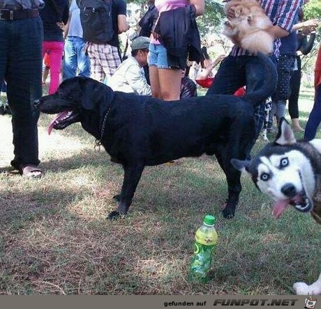 Photobomb Photobomb