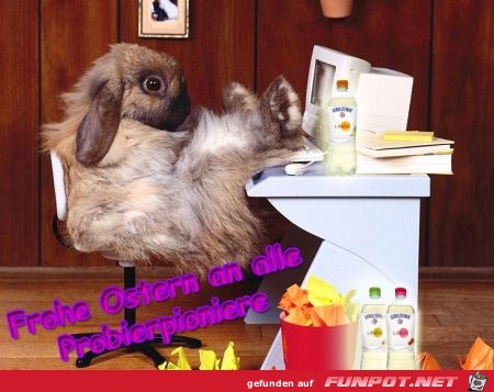 Frohe Ostern an alle