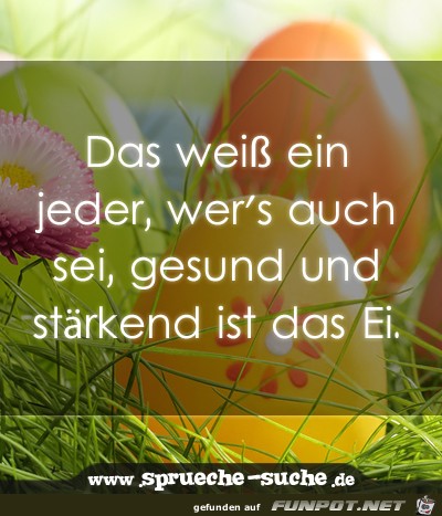 gesund-und-staerkend-ist-das-ei