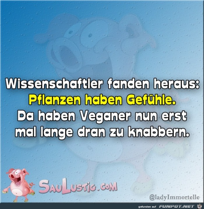 Wissenschaftler-fanden-heraus Wissenschaftler-fanden-heraus