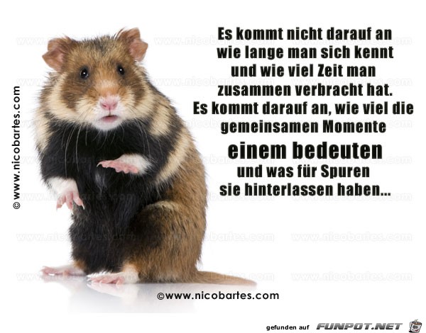 es kommt nicht darauf an wie lange man ich kennt es kommt nicht darauf an wie lange man ich kennt