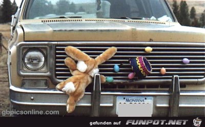 Frohe Ostern Frohe Ostern