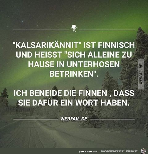 Die Finnen Die Finnen