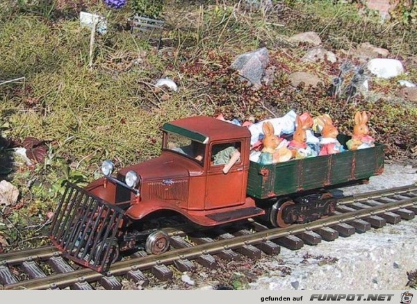 Hasentransport Hasentransport