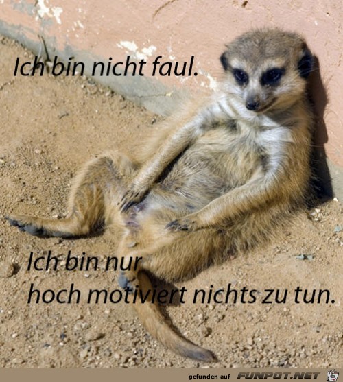 ich bin nicht faul