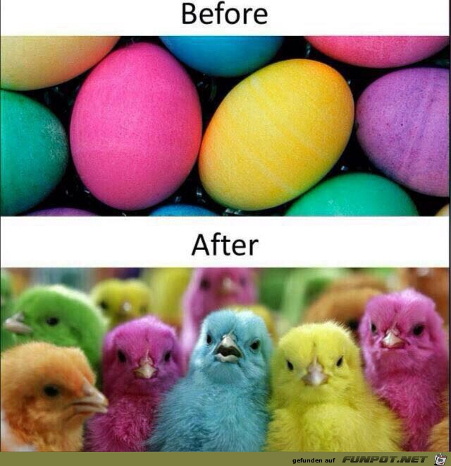 das sind die Folgen das sind die Folgen