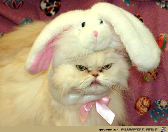 Ich hasse Ostern Ich hasse Ostern