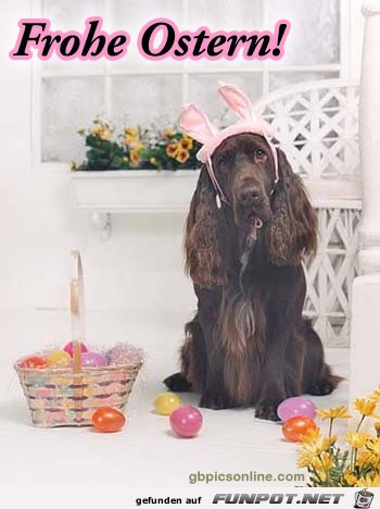Frohe Ostern Frohe Ostern