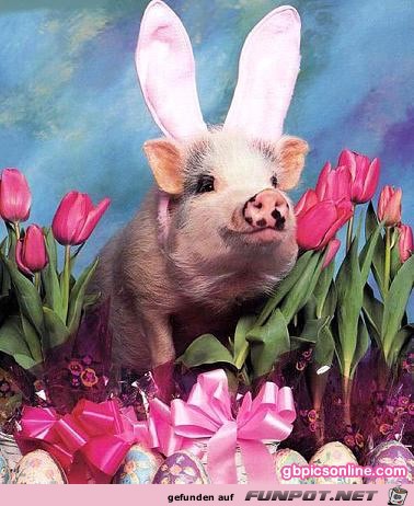 Frohe Ostern Frohe Ostern