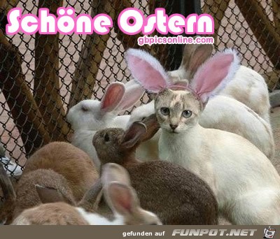 Frohe Ostern