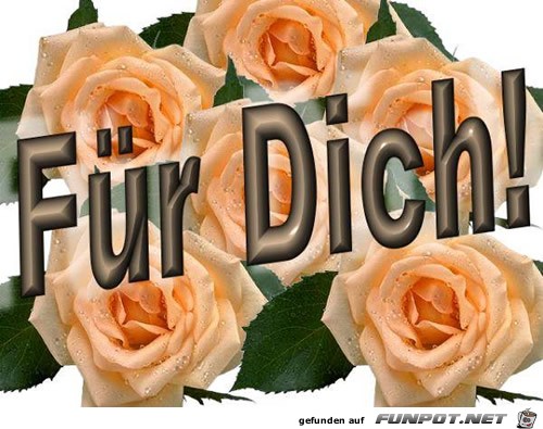 faeuer dich faeuer dich