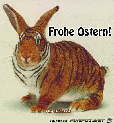 Lustiges Lustiges