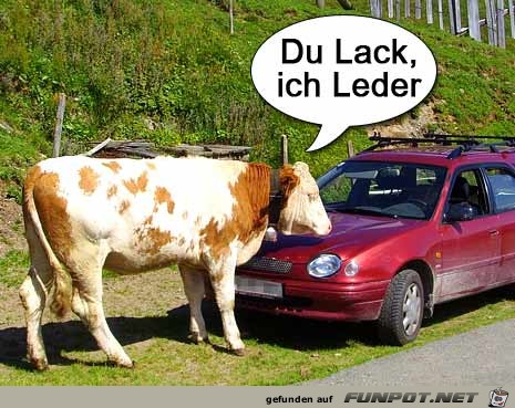 Du Lack ich Du Lack ich