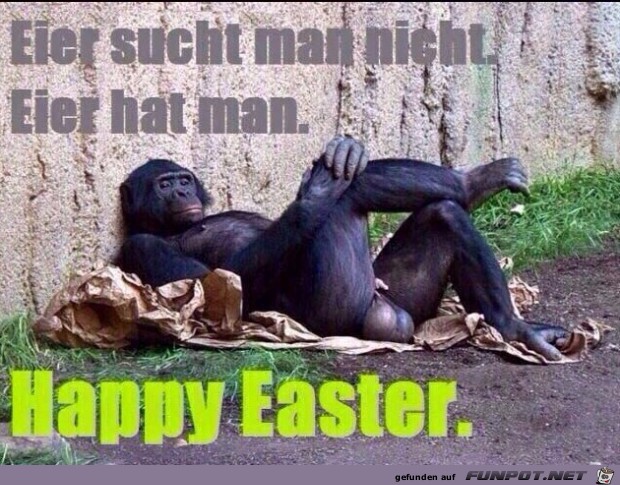 Eier sucht man nicht... Eier sucht man nicht...