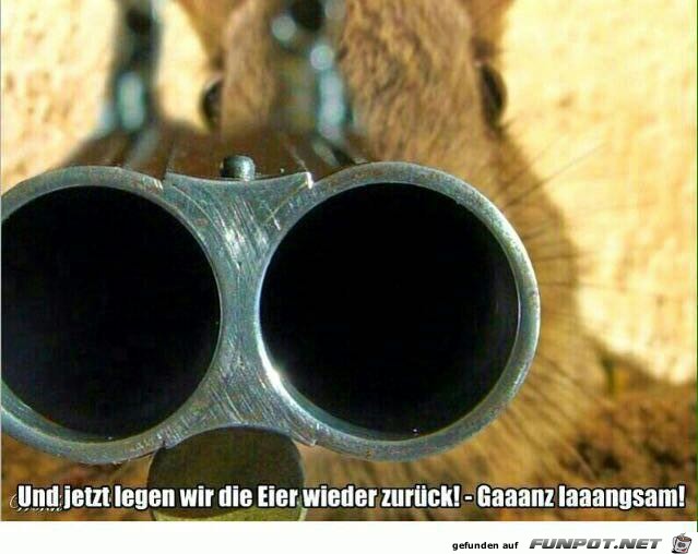 und jetzt und jetzt