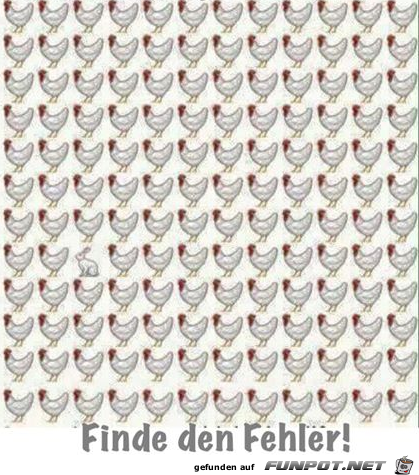 Finde den Fehler Finde den Fehler