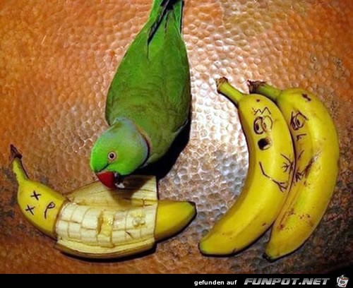 hunger hunger