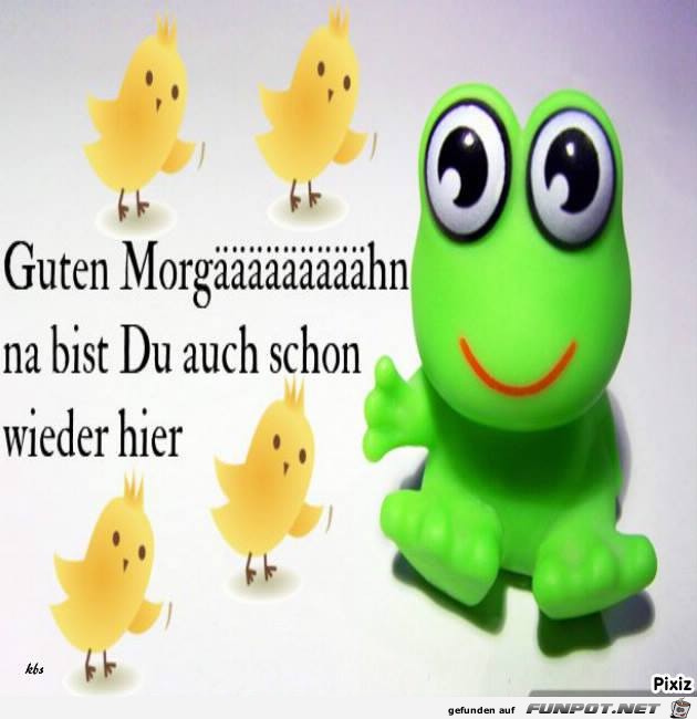morgaeaehn morgaeaehn