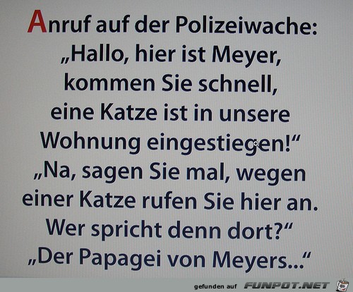 Anruf bei der Polizei Anruf bei der Polizei