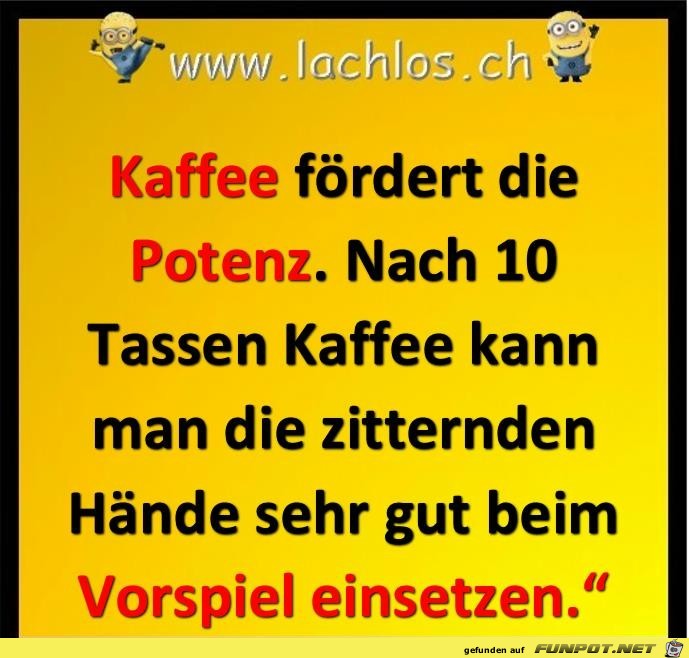 Kaffe foerdert die Potenz