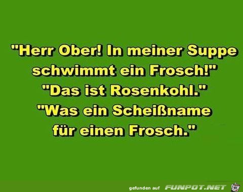 Herr Ober in meiner Suppe ist ein Frosch