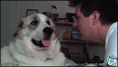 Hund und Herrchen Hund und Herrchen