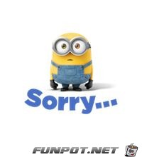 Sorry Sorry