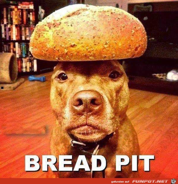 Bread-Pit