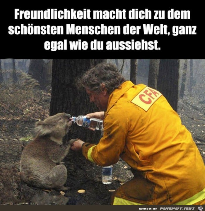 Freundlichkeit Freundlichkeit