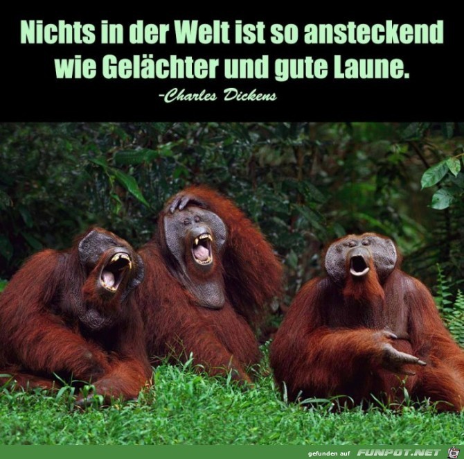 Nichts in der Welt