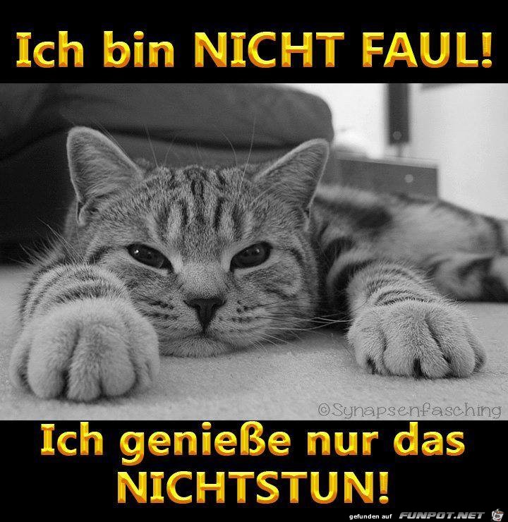 Ich bin nicht faul