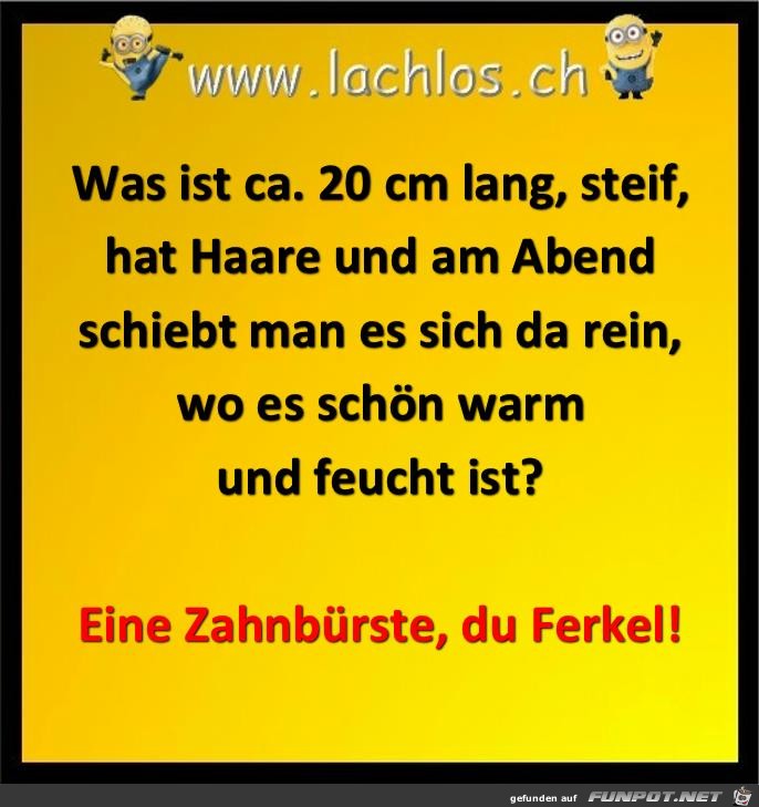 was ist ca 20 cm lang was ist ca 20 cm lang