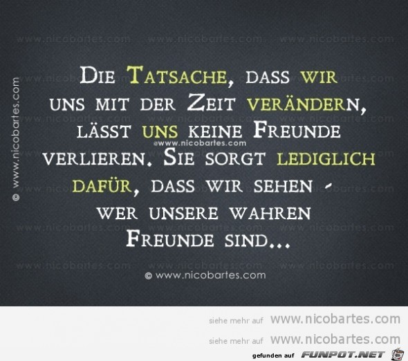 die Tatsache die Tatsache