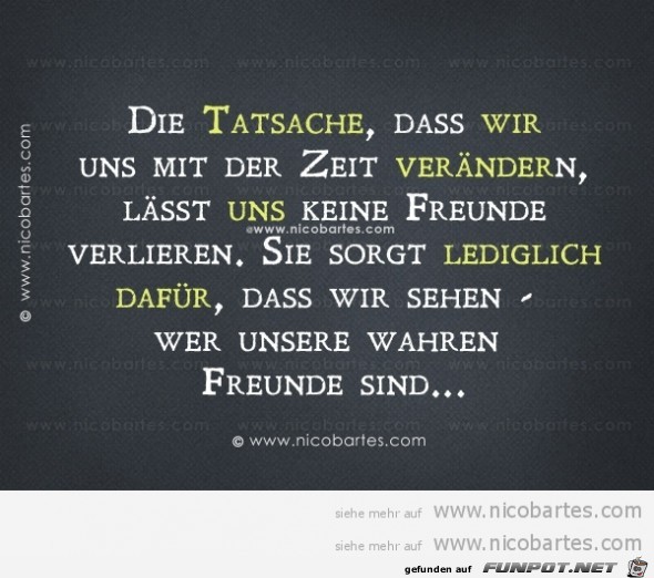 die Tatsache