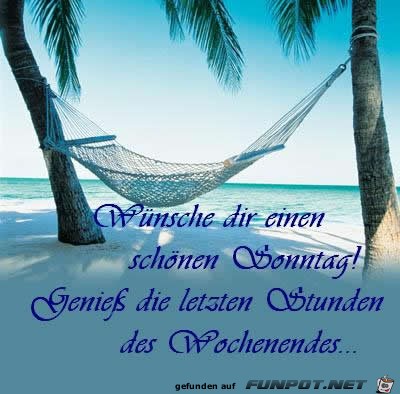 sonntag sonntag