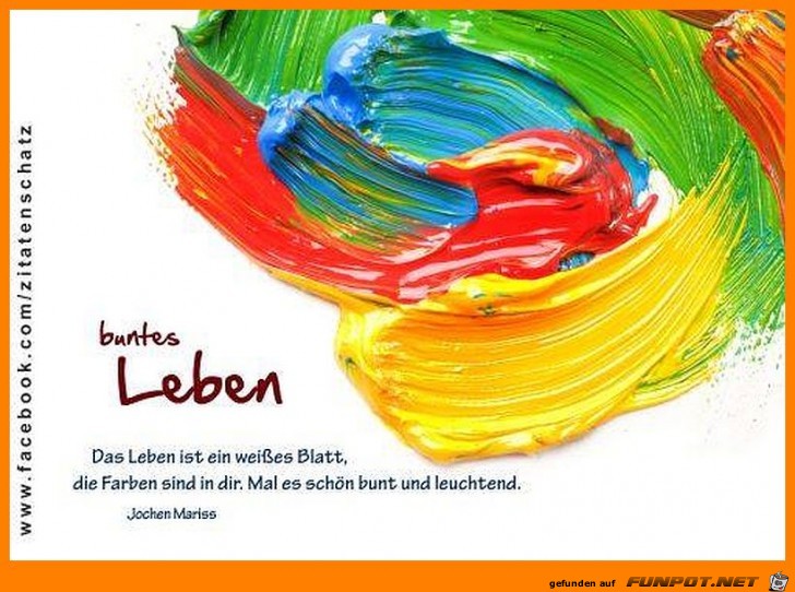 Bunt Bunt