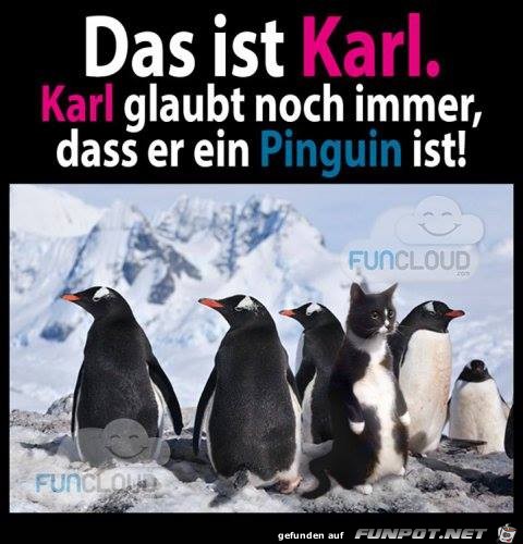 Das ist Karl