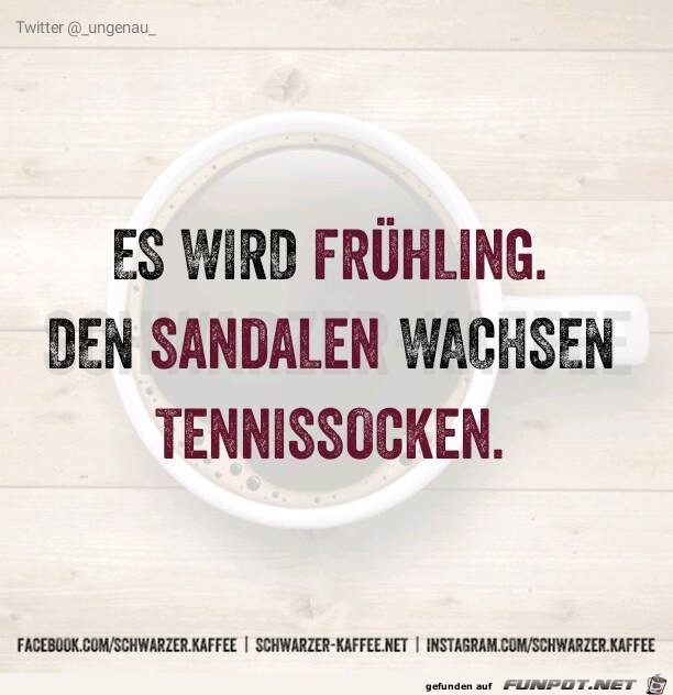 Frühling kommt Frühling kommt