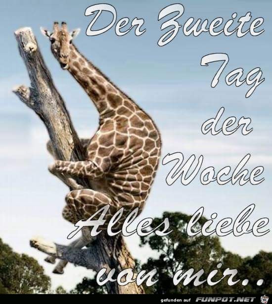 Der zweite Tag