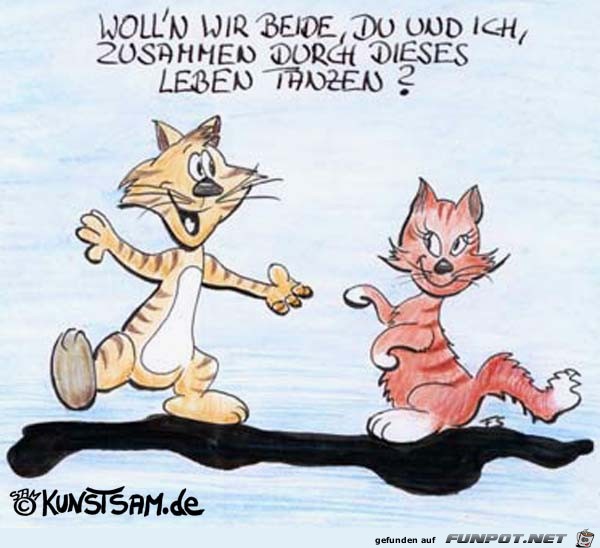 Wollen wir beide Wollen wir beide