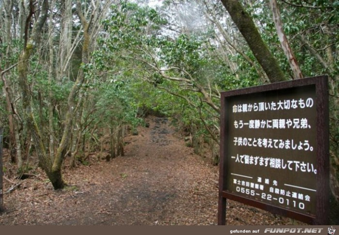 Suicide-Forest-Japan