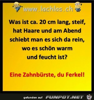 Zahnbürste Zahnbürste