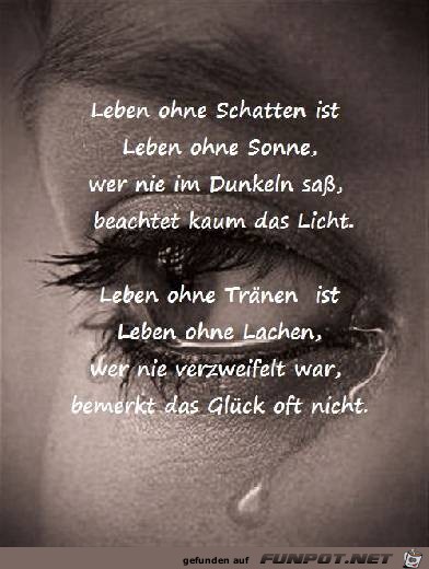 Leben ohne Schatten ist Leben ohne Licht