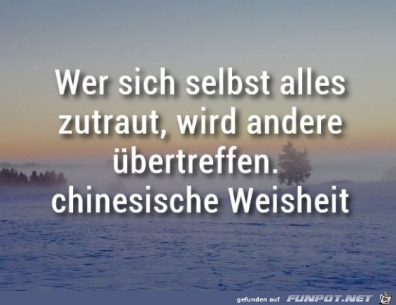 10 schne Sprche und Lebensweisheiten aus...