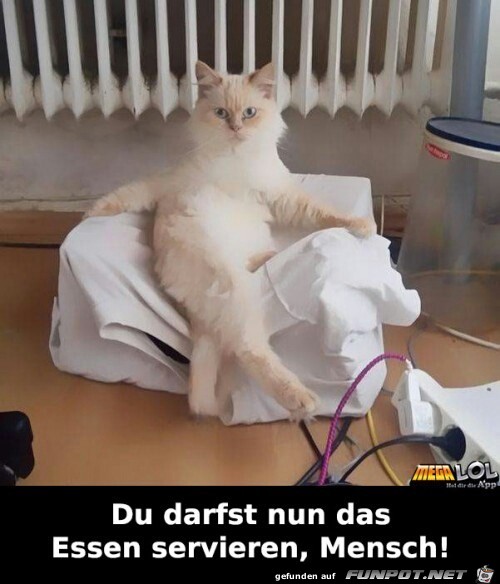 Du darfst