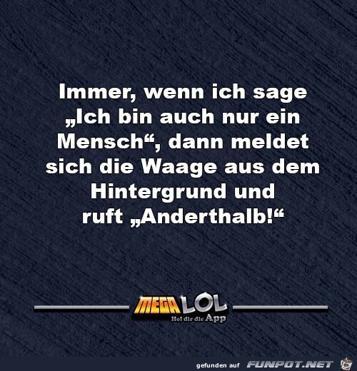 die Waage die Waage